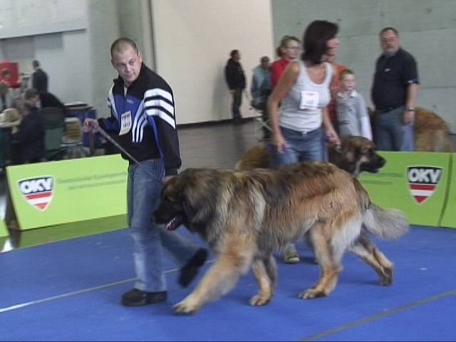 Salzburg Clubschau Mai 06 148 